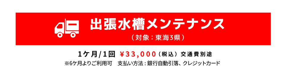 出張水槽メンテナンス（対象：東海3県）1ケ月/1回 ¥33,000（税込） 交通費別途※6ケ月よりご利用可　支払い方法 : 銀行自動引落、クレジットカード