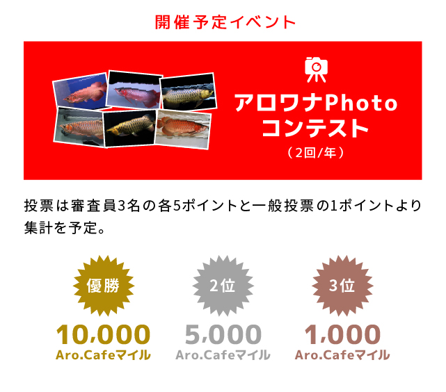 開催予定イベント/アロワナPhotoコンテスト（2回/年）/投票は審査員3名の各5ポイントと一般投票の1ポイントより集計を予定。/優勝 10,000Aro.Cafeマイル/2位 5,000Aro.Cafeマイル/3位 1,000Aro.Cafeマイル